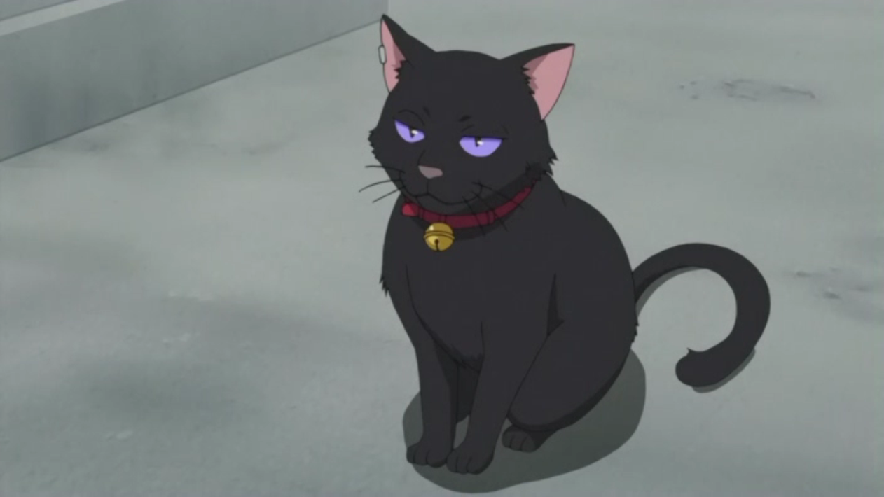 Cantinho do Pirralho] TOP 5 Gatos Pretos em Animes e Mangas